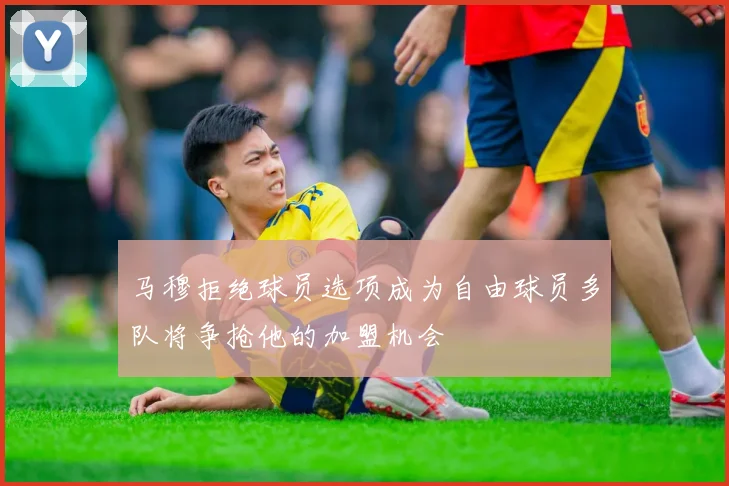 马穆拒绝球员选项成为自由球员多队将争抢他的加盟机会
