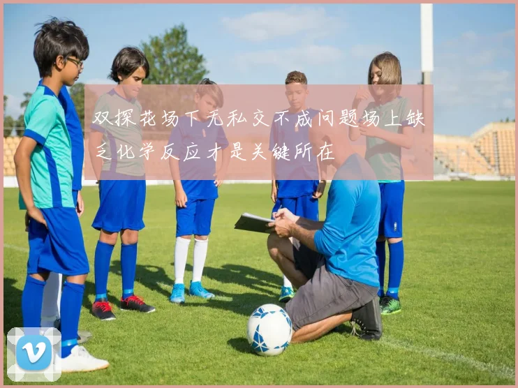 双探花场下无私交不成问题场上缺乏化学反应才是关键所在
